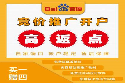 某企业SEM广告投放的ROI提升策略及效果展示